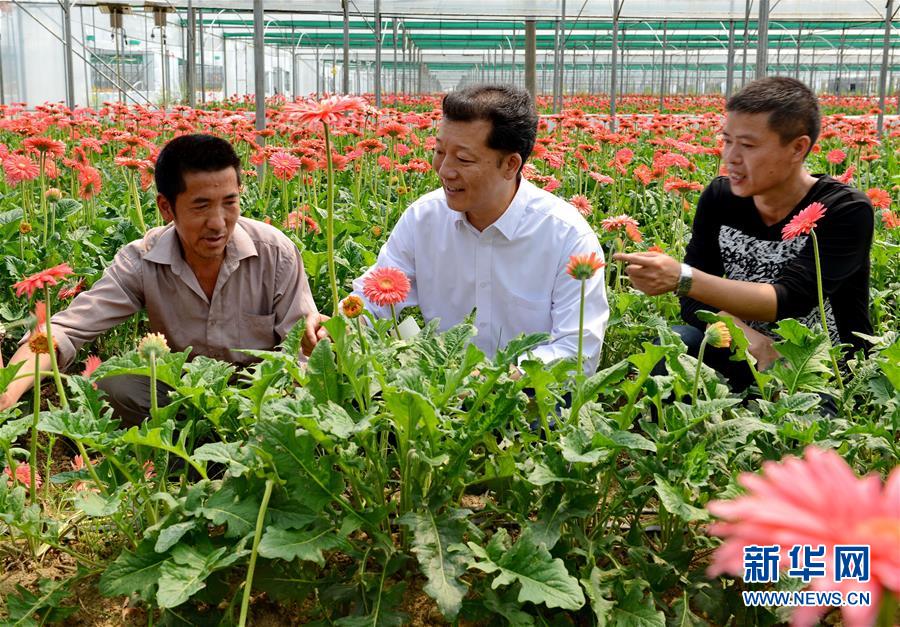 （新華全媒頭條·愛國情 奮斗者·圖文互動）（8）致敬，為祖國獻(xiàn)身的英雄！