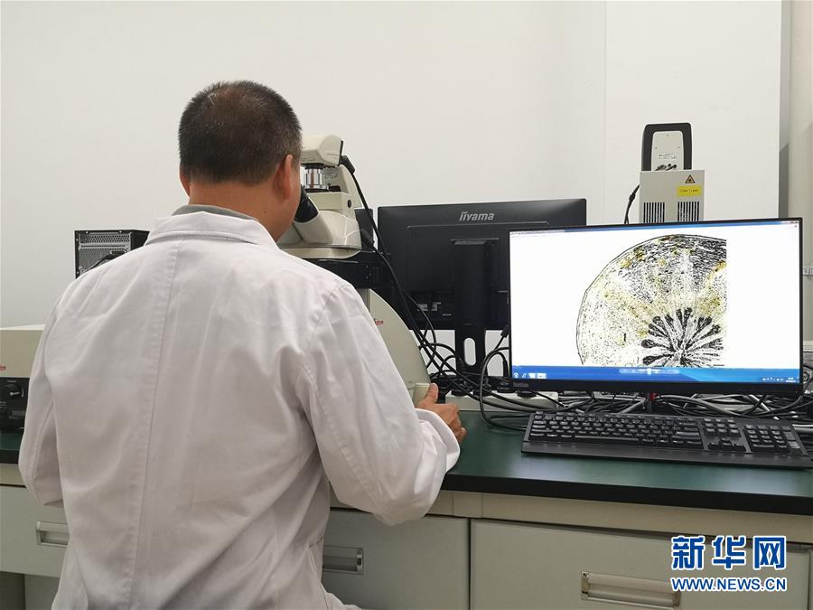 （新華調查·新中國考古重大發現·圖文互動）（5）?；韬睿翰粌H僅是“黃金大墓”