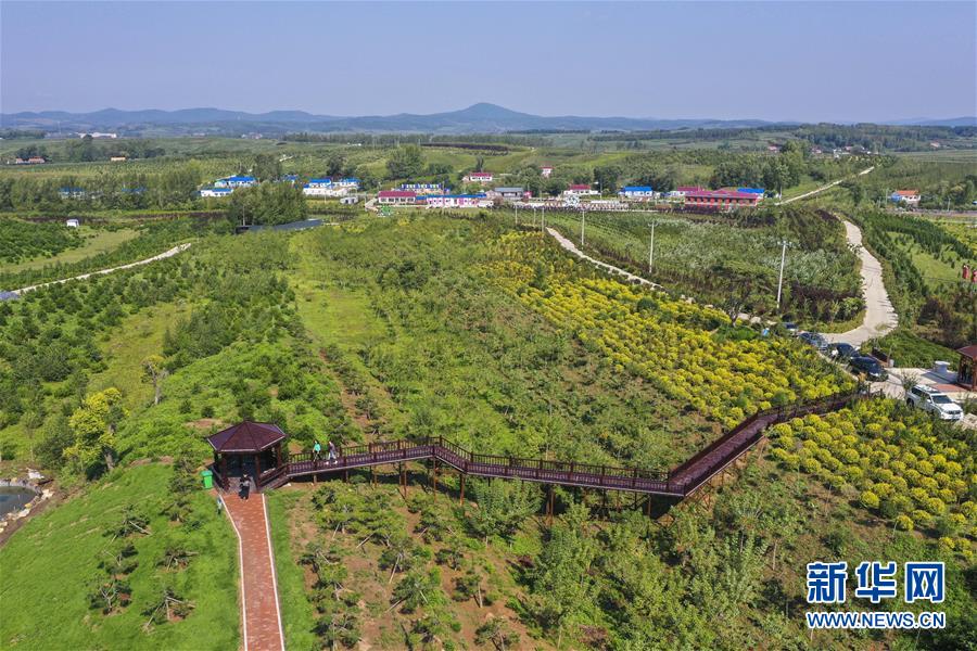 （新華全媒頭條·走向我們的小康生活·圖文互動(dòng)）（16）黑土地上是我家——在吉林，一瞥中國(guó)東北鄉(xiāng)村美麗未來
