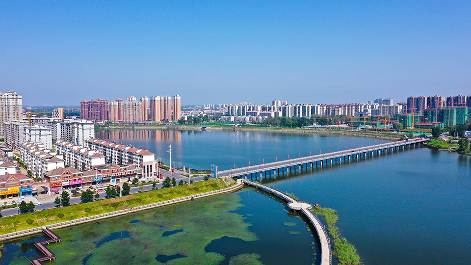 “一畝油茶百斤油，又娶媳婦又蓋樓”——河南光山走上生態富民路