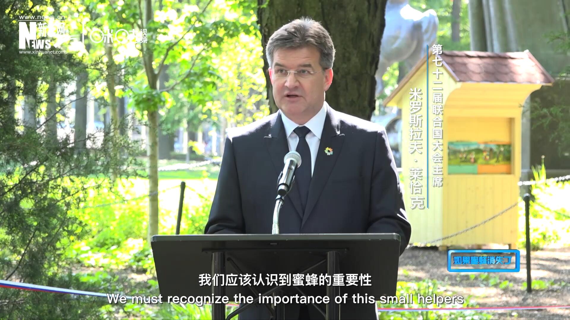 我們應該認識到蜜蜂的重要性，所以我們用“世界蜜蜂日”提高大家保護蜜蜂的意識，并且用實際行動去保護蜜蜂