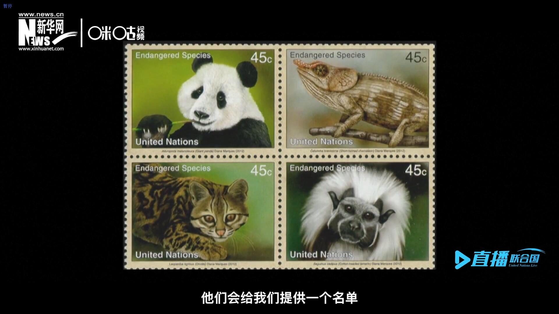 CITES（瀕危野生動植物種國際貿(mào)易公約）會給聯(lián)合國郵政設(shè)計(jì)師提供一個(gè)名單，雙方共同合作在附錄中找到名單中應(yīng)該受到關(guān)注的動物。