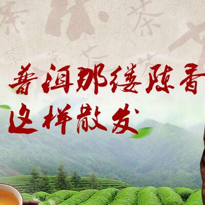 普洱那縷陳香，這樣散發