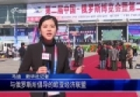 第二屆中俄博覽會(huì)搭建雙邊對接合作平臺(tái)